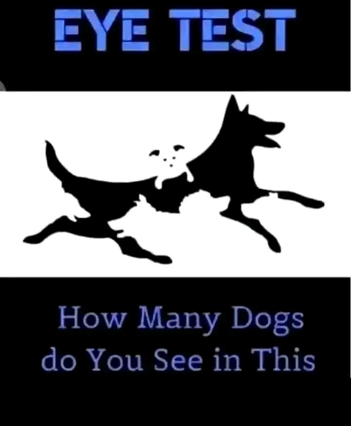 How many Dogs do you really see? 